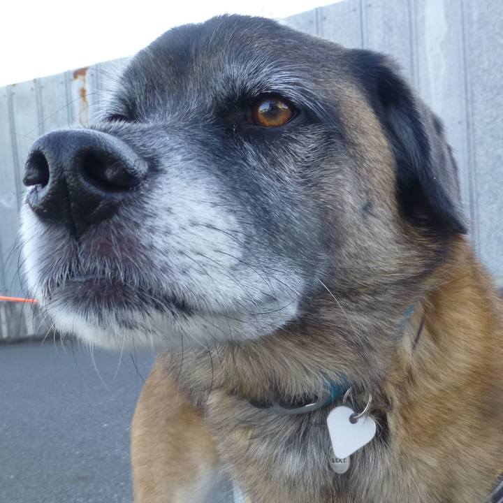 Db26cbc9 1005 4164 ae54 0c95d535fcf4 1580942299635