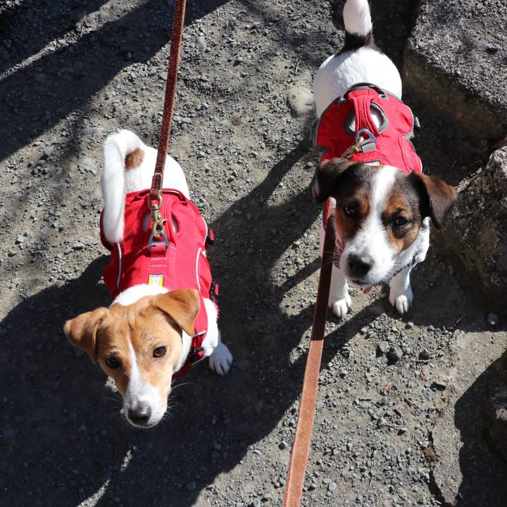 Db26e2f5 a3ca 4918 950c 97cb8130d553 1517045264783