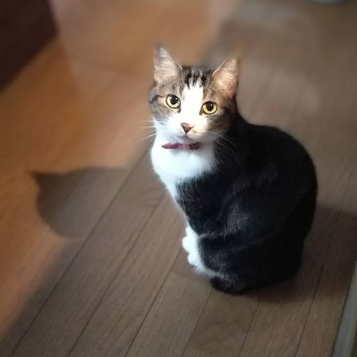 Db26f7b5 0eab 4e78 abd2 25c696a09349 1517526736159