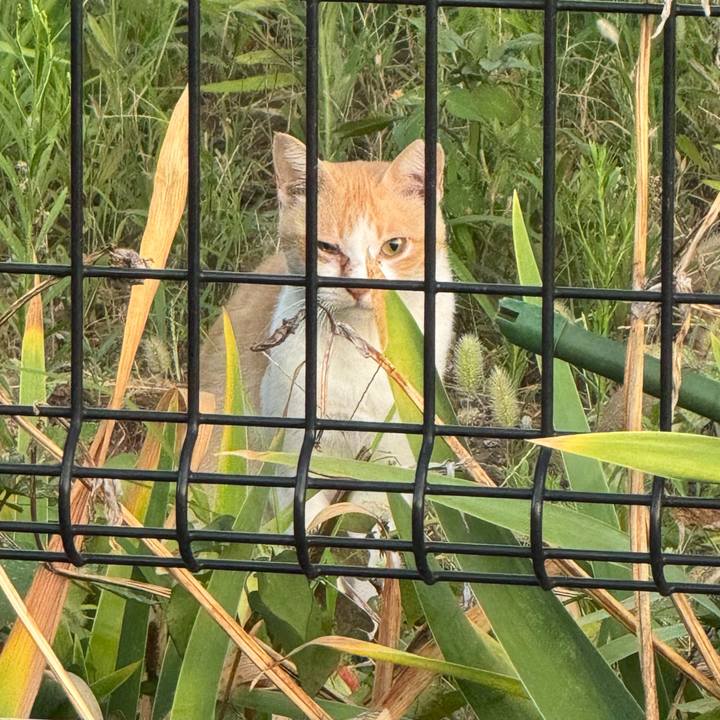 Db27470c b130 44e3 a20d 7204f2f279ac 1753914846023