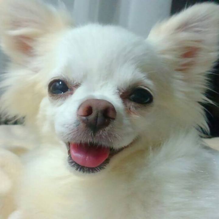 Db274cd5 1316 4503 8e31 d0acc488a08f 1536146764249