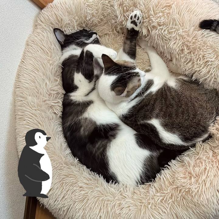 Db275684 93db 4899 99f3 1bd4bd926bb8 1773198073683