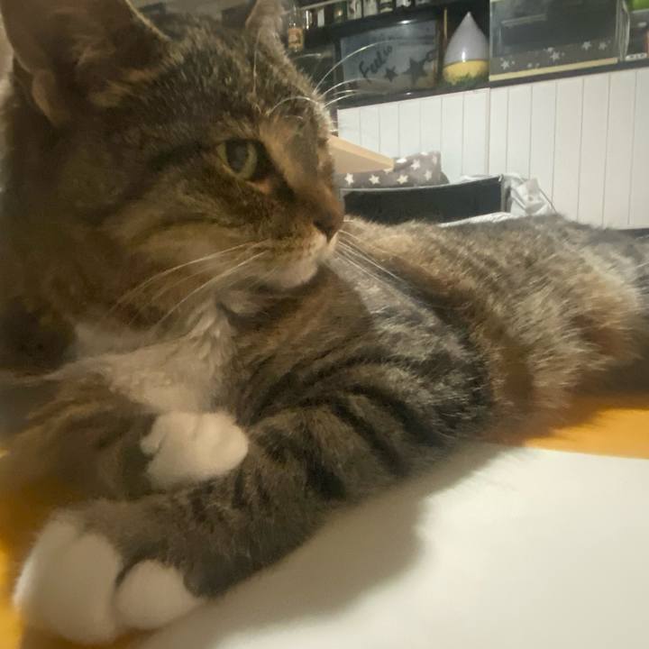 Db276bca 3e50 4163 ada8 7ab501988b99 1750259427214