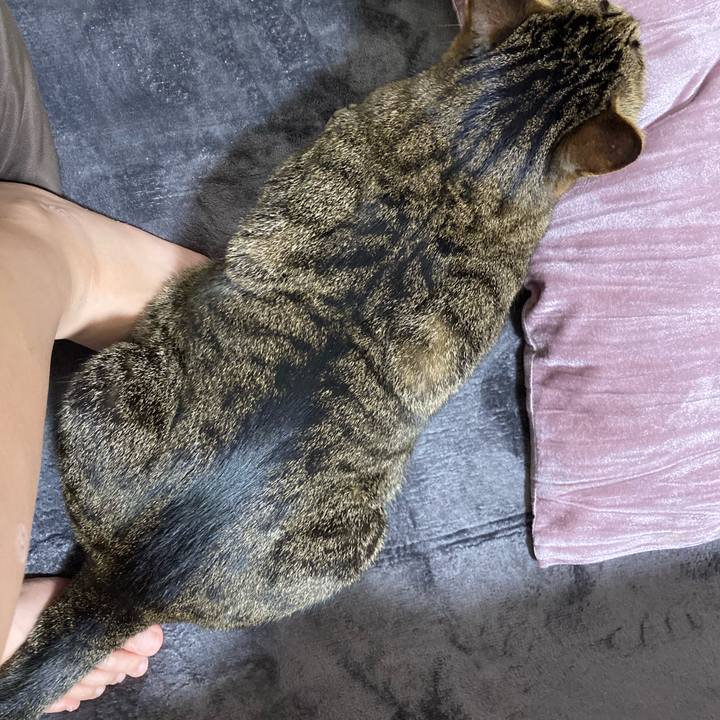 Db279ee8 60ae 468e b8cf 81afe55e8007 1632307550610