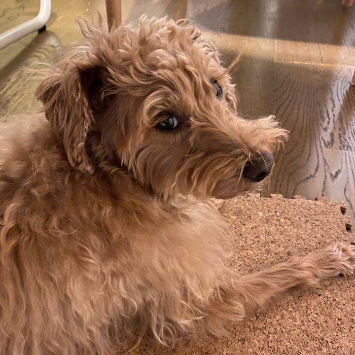 Db27d604 47e0 4b80 8ad3 c277991d9971 1639391860129