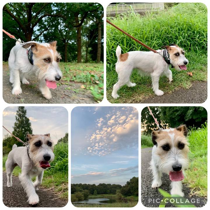 Db2807d5 982e 469d ae11 3c05678f61a0 1660649977318