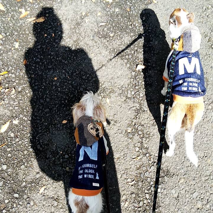 Db2808f5 621c 4807 9fb1 47a35773da59 1540617349598