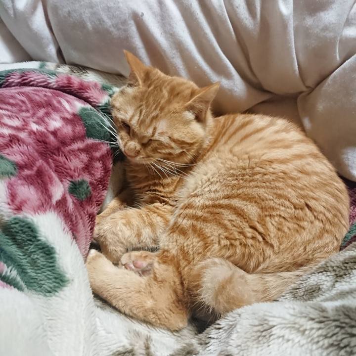 Db280b2b 506c 41e1 8f71 87bff28c3134 1641644375433