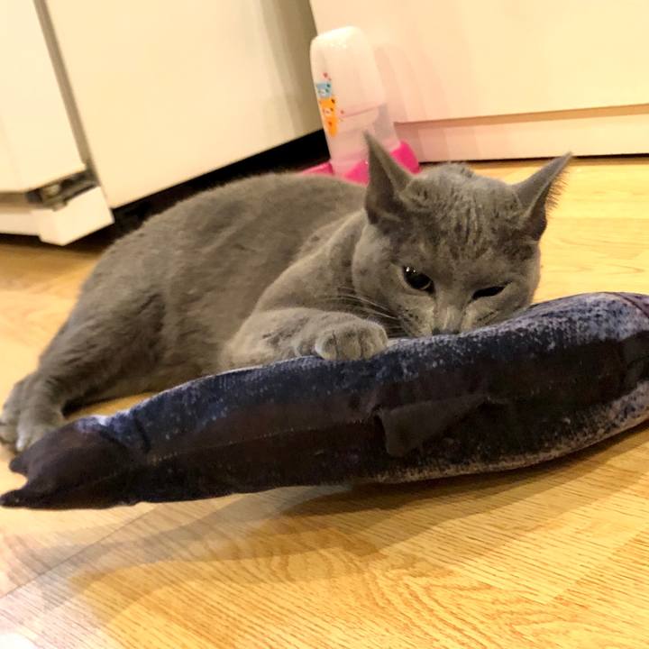 Db28126b 3aaa 4b1f 8817 e594cd3bfce6 1582970854429