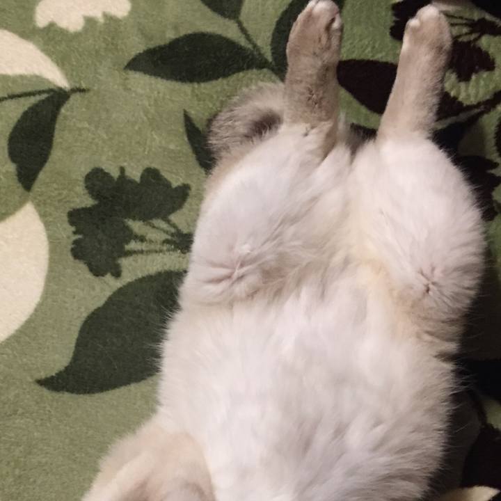 Db28267c ce11 4624 bf32 0b938405f2cd 1585136178246