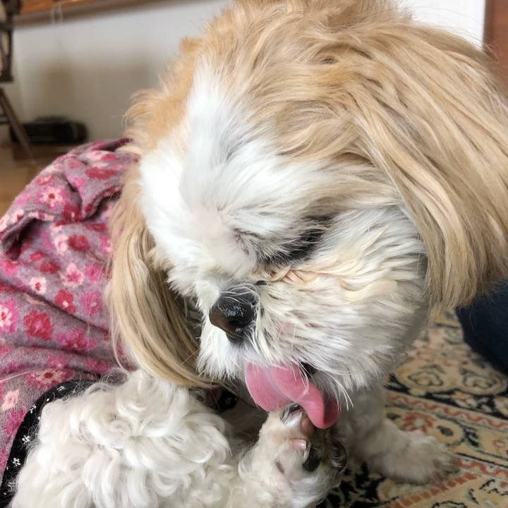 Db2832a9 799e 49a6 8d4c 64874761866d 1557019347750