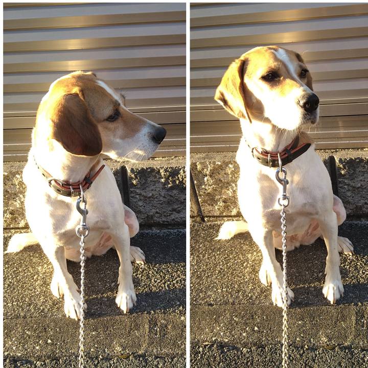 Db283fbf 6caa 46e2 97e6 25fa4317648c 1633086939523