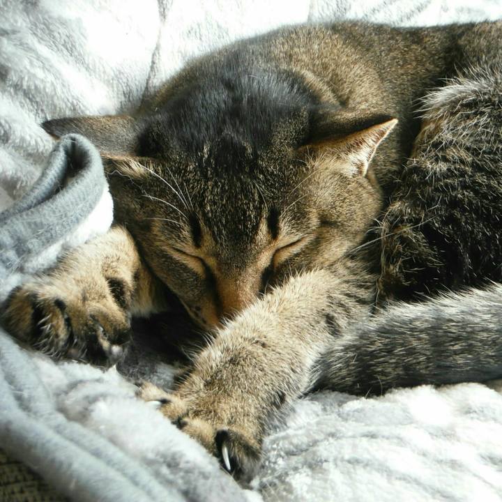 Db28479b b722 4f4b a19d e13b6c7f45ad 1527640309907