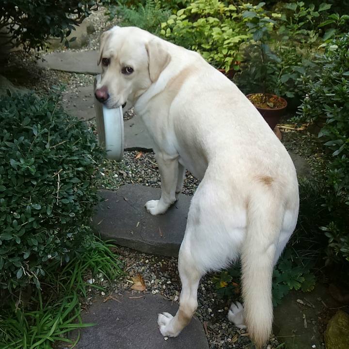 Db28707f 95e3 4bdb b1cc eb0f4f9d77ff 1509588272856