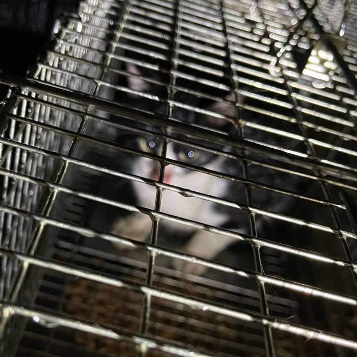 Db28b823 5463 4155 83ee 0a230b4082b0 1627825593976