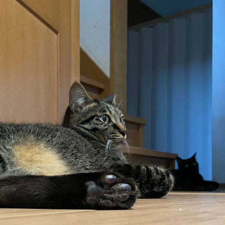 Db29749d fbb0 4189 a1fd 4d5573de3e39 1652872159398