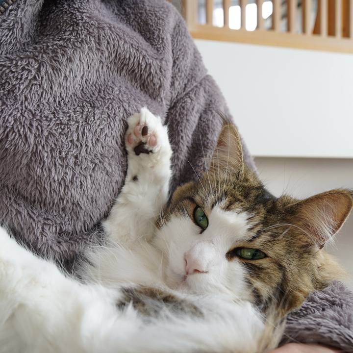 Db29aae9 d393 461f a745 413c4ebdf740 1643514034935