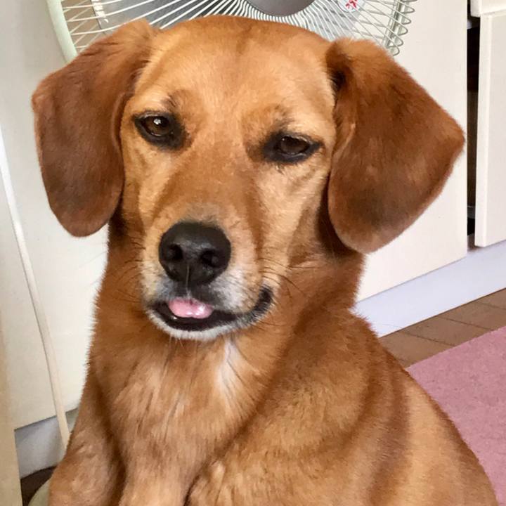 Db29abef 17df 43a1 88c7 1a61025195a2 1523342730730