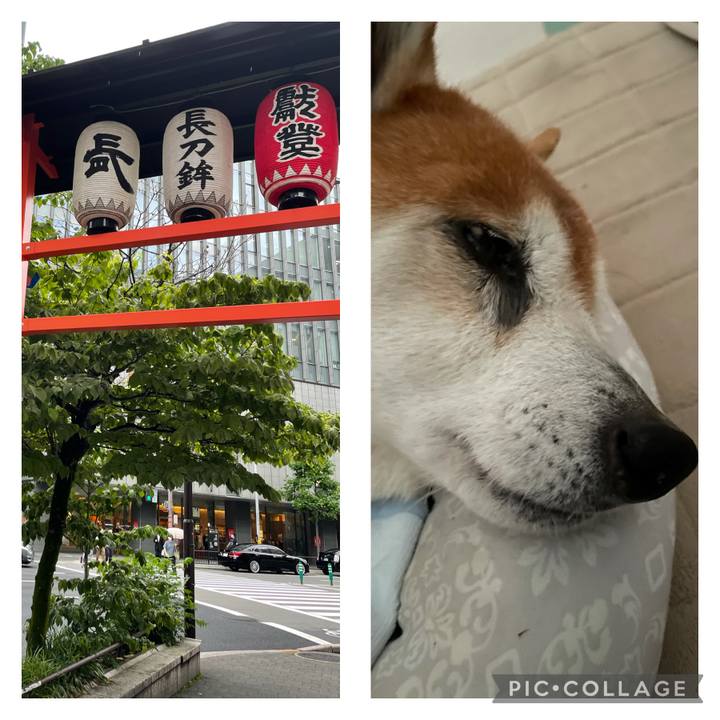 Db29eec5 9d27 4bd0 8247 26e89de91ffb 1625111857856