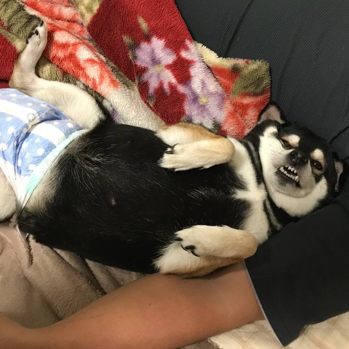 Db2a18ba bc3c 4cb9 9b58 b26a9a93aaad 1508672188866