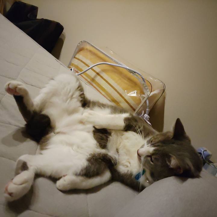 Db2a3e92 d05b 44d8 b15d 1af2a38a6cd4 1695561837312