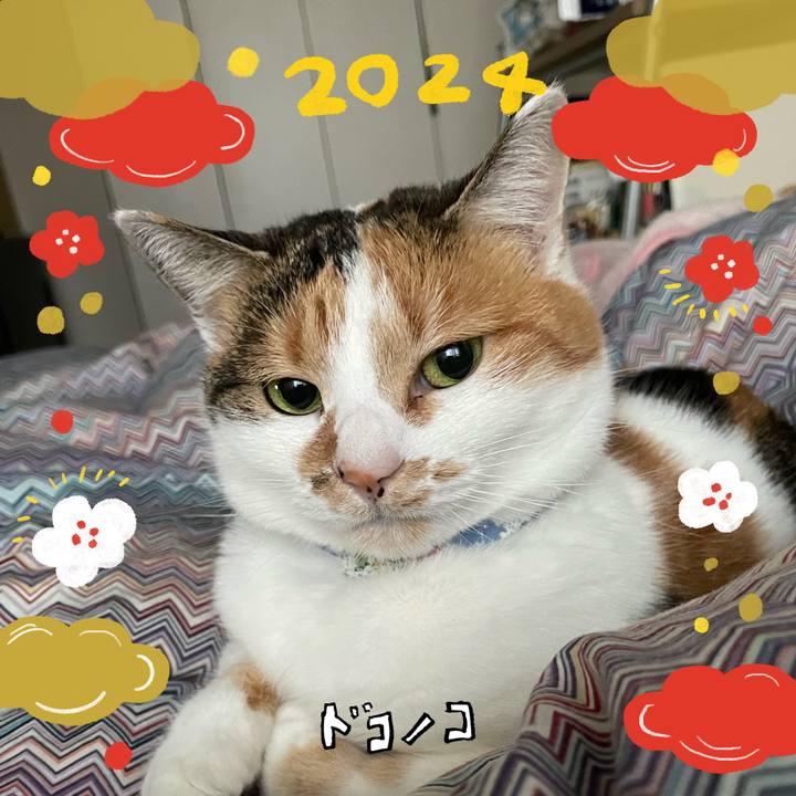 Db2a448a e1cf 43eb 9698 83b88edd0448 1704069381735