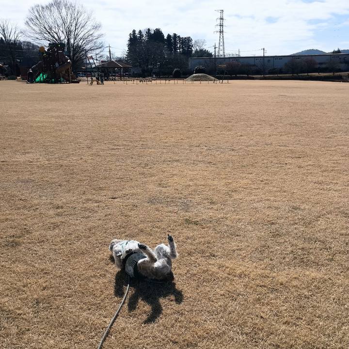 Db2a4627 bfc2 40ca 8677 ea49c6cdb6e1 1771676767254