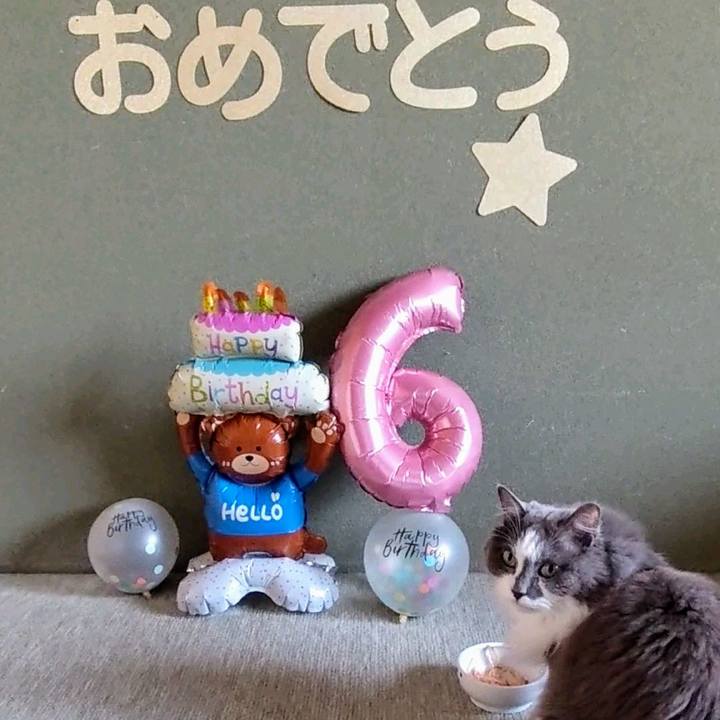 Db2a53ae 6989 4de0 9896 829977853ac7 1746046016750