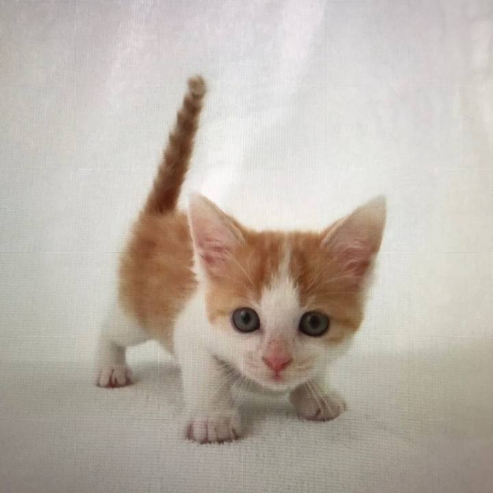 Db2a7a16 66a8 4e7a b433 f482fcf56c2b 1636431033710