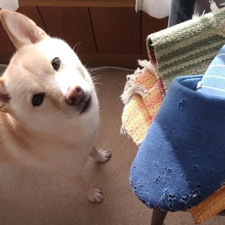 Db2a8c90 b2b5 41cb ae41 198de6991dad 1570661867043