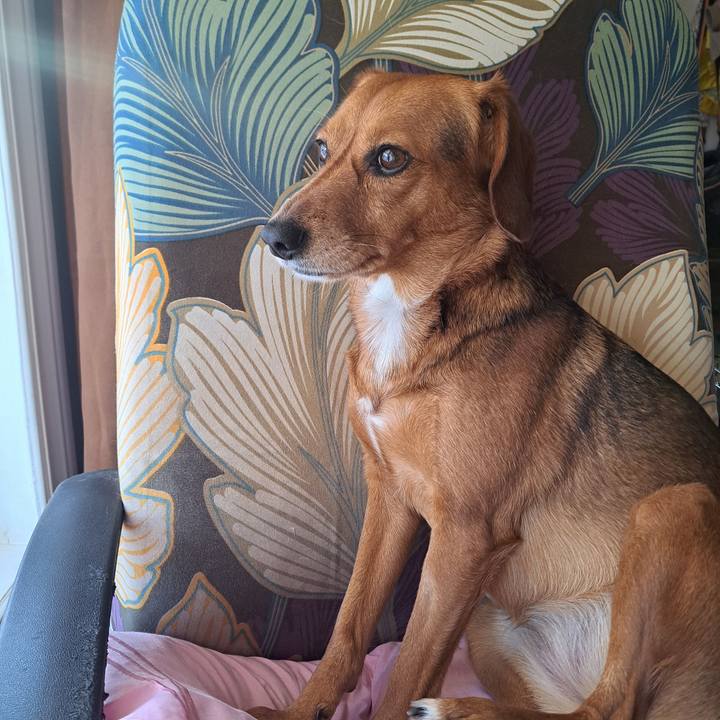 Db2ad046 e370 41d0 b07d fdf9ddaeb1e3 1769261932413