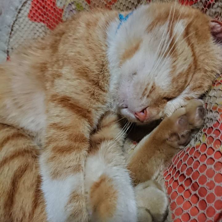 Db2ae588 cc84 4da3 aaf8 ac5a6b158a23 1555936555355