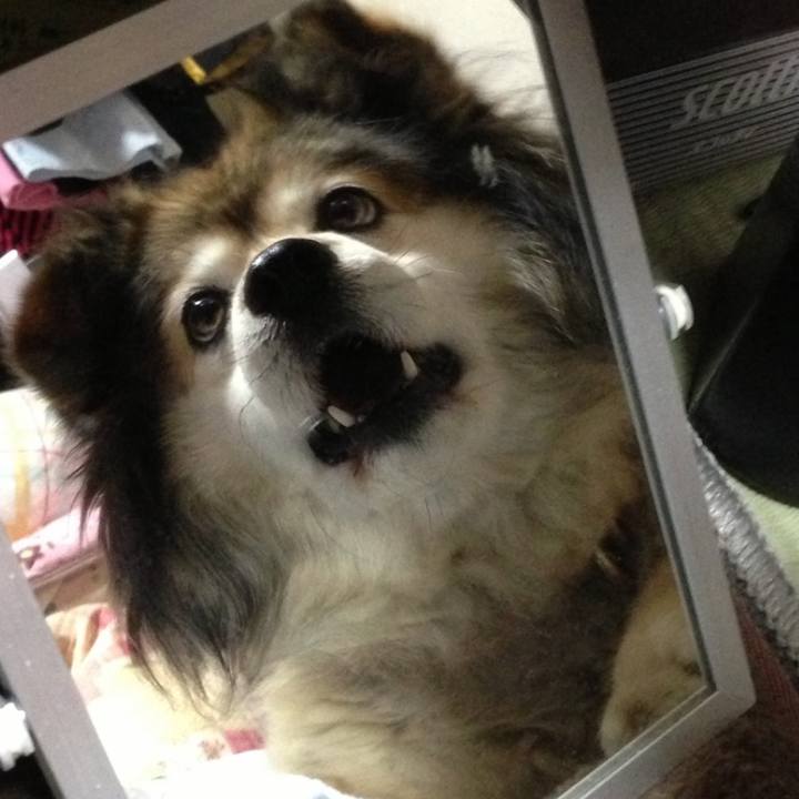 Db2ae759 fb63 40c5 9e88 86a70c524c7d 1621319679932