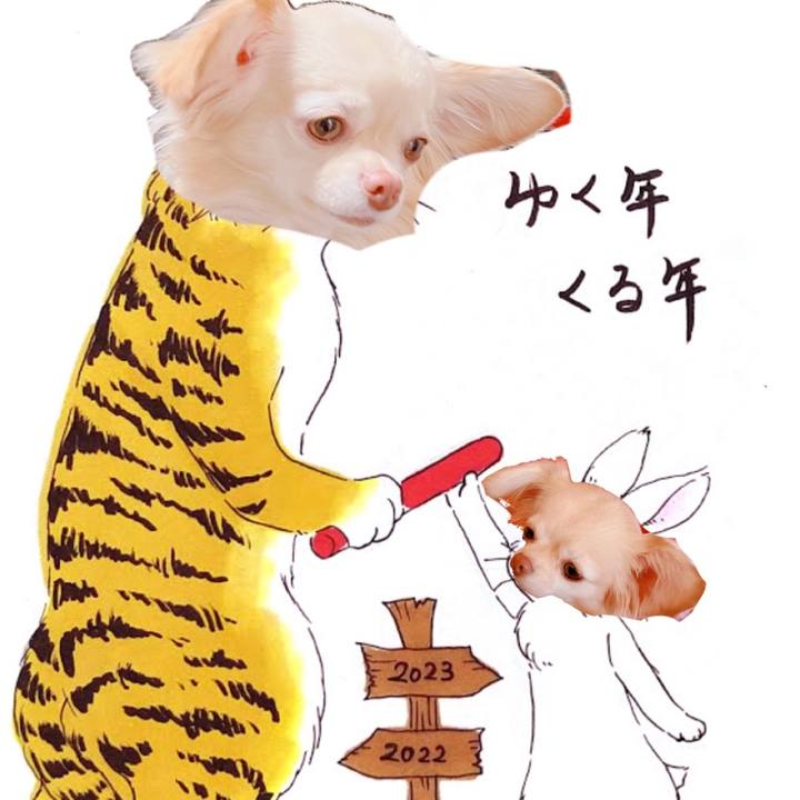 Db2b00bd d7cb 4389 9765 2b32e7591a36 1672497442469