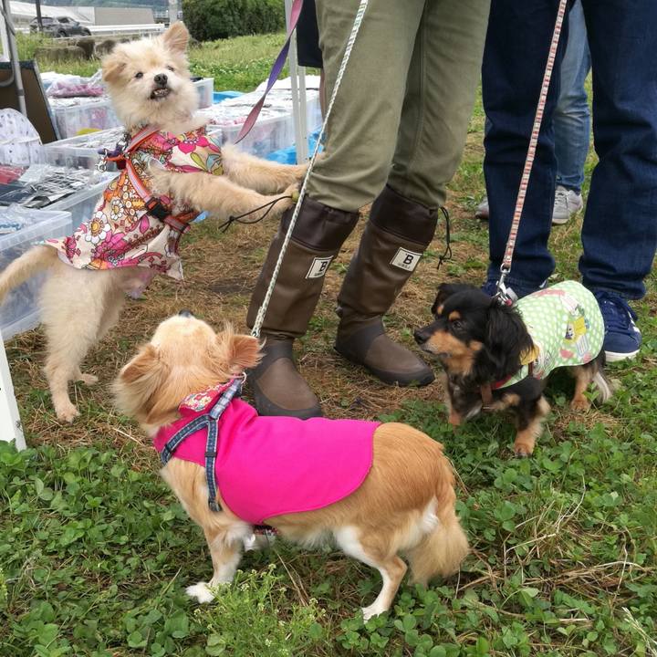 Db2b493e 4e79 47c3 849b f1eed9de8a13 1560121595684