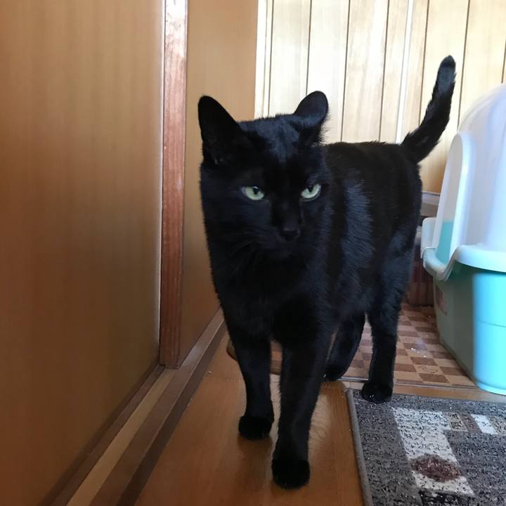 Db2b5502 a592 4352 b55c cc4312220634 1523497907458