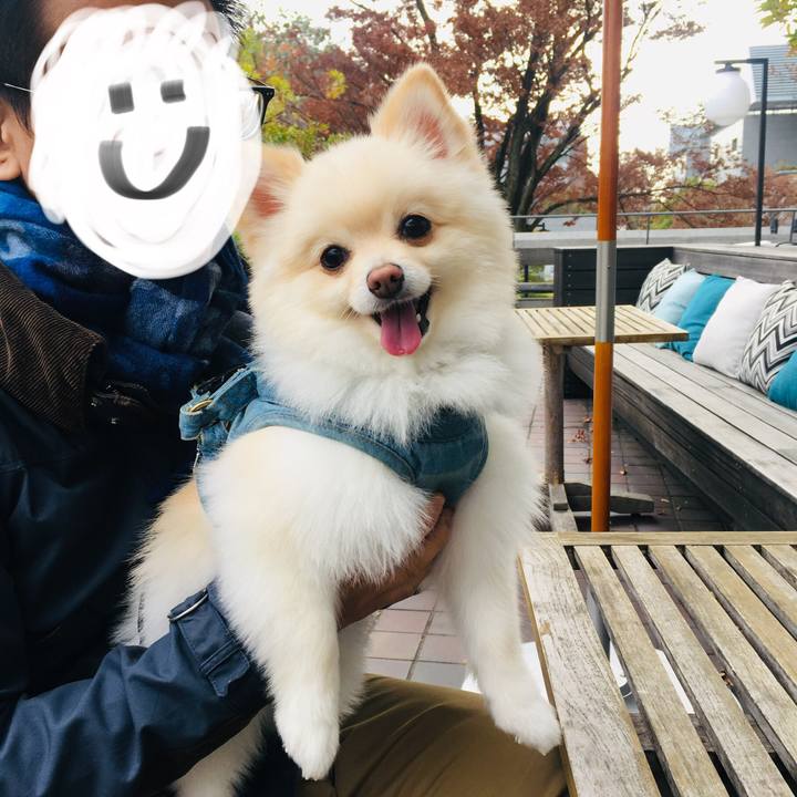 Db2b8fa5 9277 4f7d 89bf a0ba0e6347bc 1576410986433