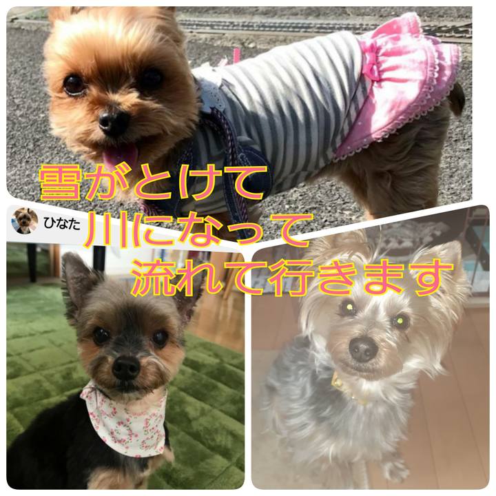 Db2bedc0 468f 4412 b3ea f2aa272b9319 1680389295583