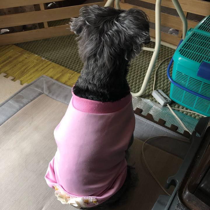 Db2c2826 7e06 440a bb32 a37d8a8527c0 1650757404663