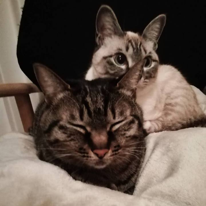 Db2c2cf6 7bd0 46ee 9913 6ae7f4f2f4c1 1554854629337