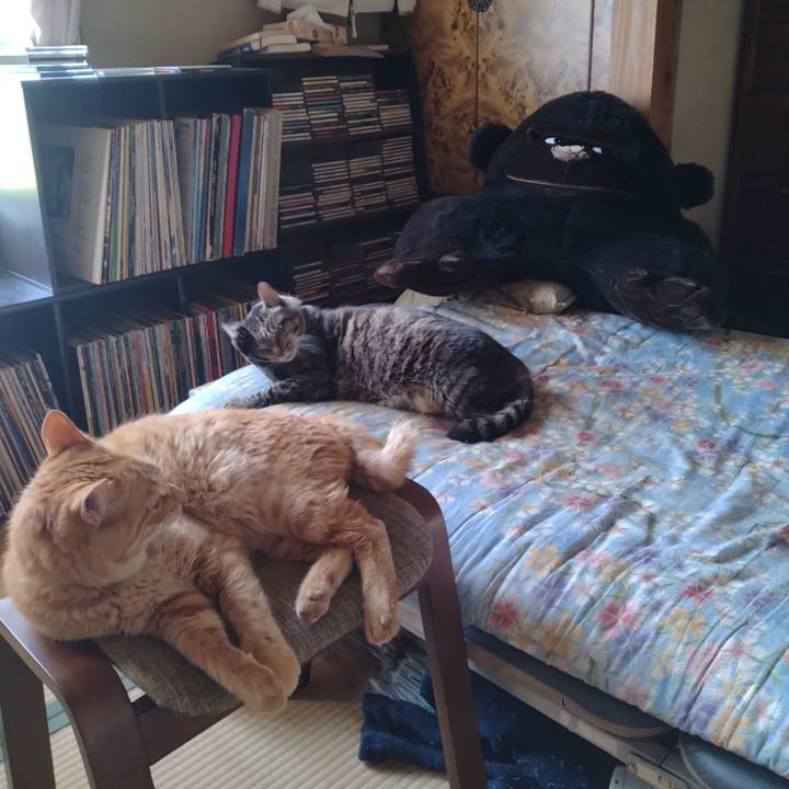 Db2c4cd6 b6bc 485a 8c4c 16e06d34ba3c 1688257795659