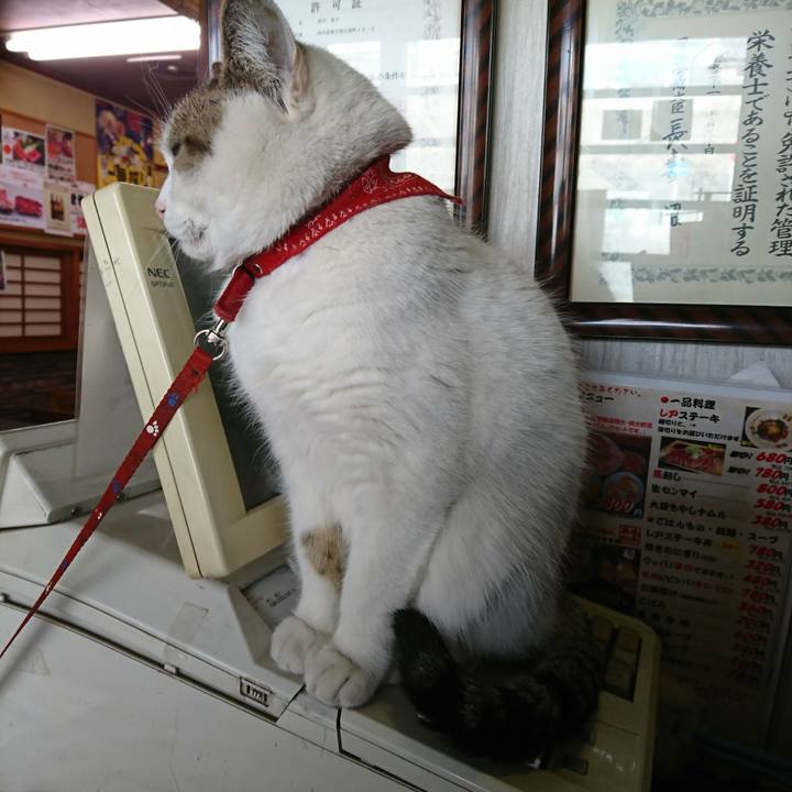 Db2c87ae bb8b 4c82 b632 a18edf77b8b0 1517030664462