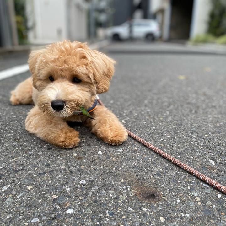 Db2c8ab5 084c 4af3 ac90 8754d075fdfd 1756988662456