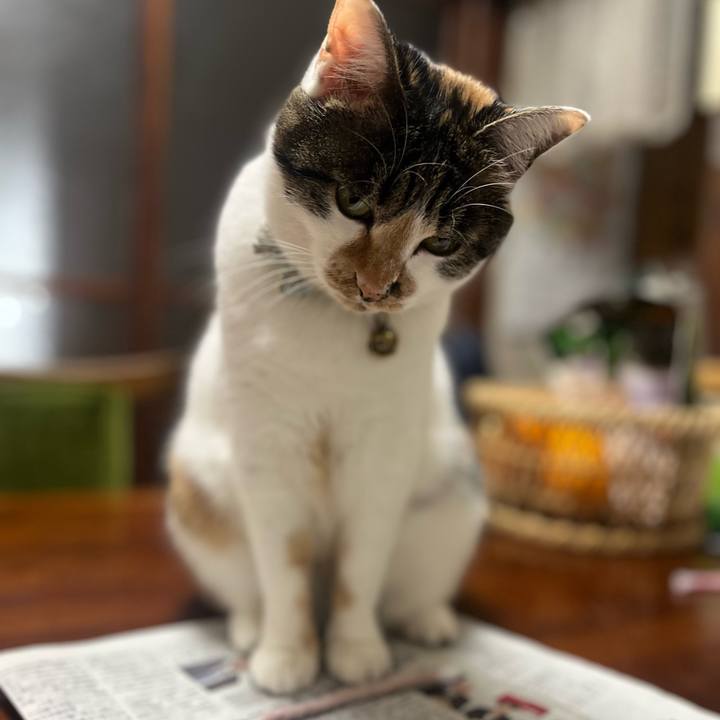 Db2cae46 15e7 4700 aa92 af5a91fc2435 1768967640471