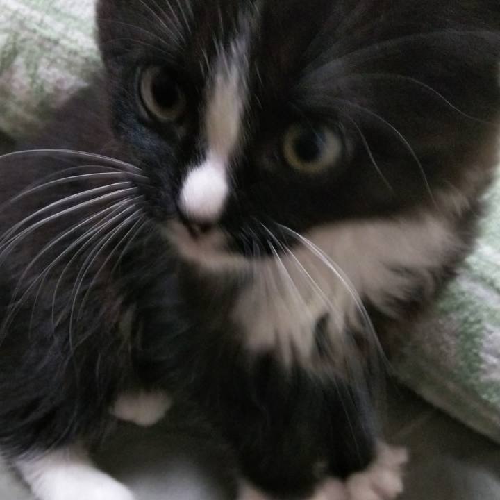 Db2cc52a 38db 4f0d baa4 a4c32b2e85b2 1638795713547