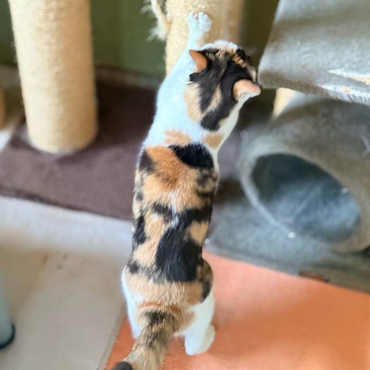 Db2cdc58 1edc 4b2d 9f2a d9313b4b869e 1728437326447