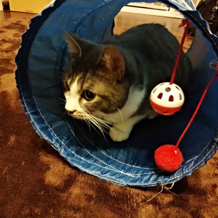 Db2d154c 5e55 4c07 84d3 f9e17b736d83 1577636899641