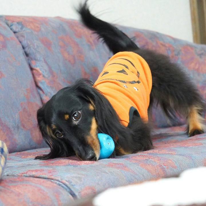 Db2d216f 183c 4e80 a9b4 5c8bd65c88ea 1523404360094