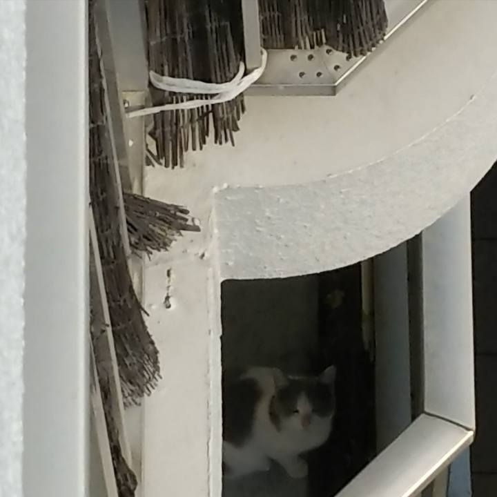 Db2d26c5 39e6 441d a9e4 a1d592610587 1521959737314