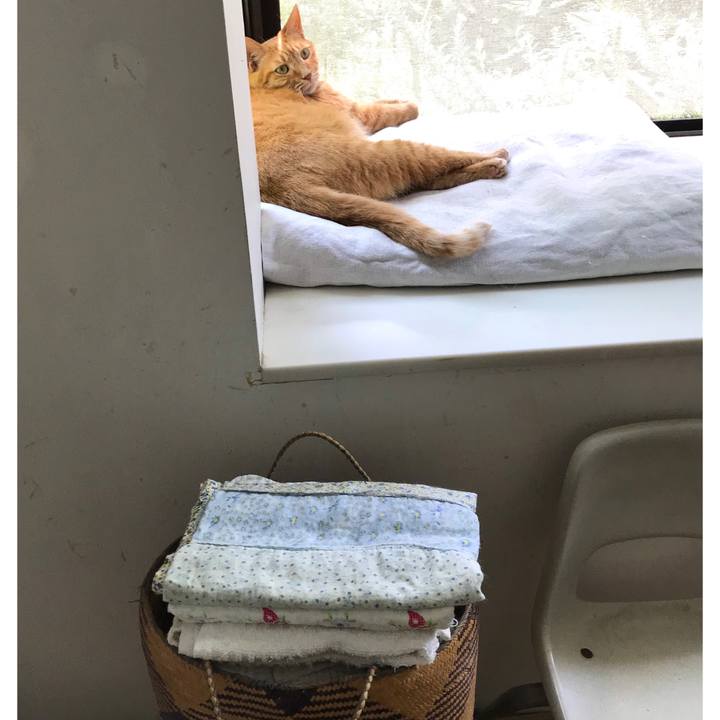 Db2d60fb d1c7 4e7b a867 b3c7e54be3fc 1595213231431